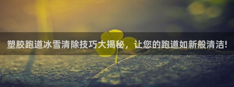 红足一1世666814足球比分网：塑胶跑道冰雪清除技巧大揭秘，让您的跑道如新般清洁!