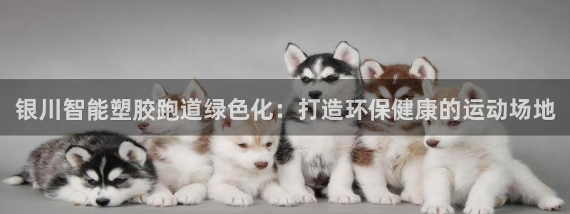 红足1世1站2站管理网：银川智能塑胶跑道绿色化：打造环保健康的运动场地
