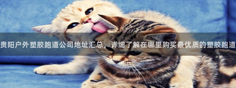 红足1一世 2站：贵阳户外塑胶跑道公司地址汇总，详细了解在哪里购买最优质的塑胶跑道