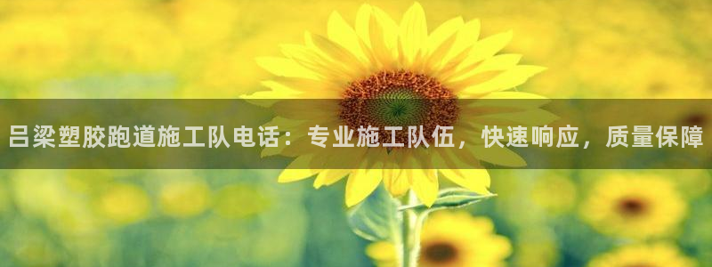 红足一1世即时比分：吕梁塑胶跑道施工队电话：专业施工队伍，快速响应，质量保障
