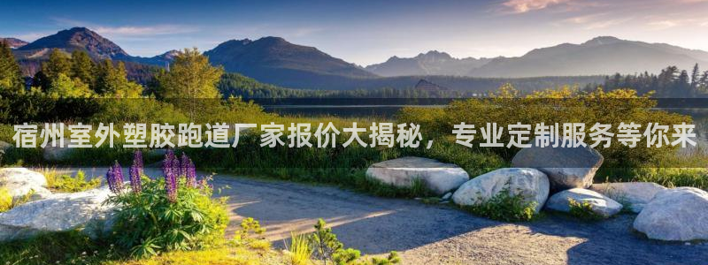 红足1世手机版下载：宿州室外塑胶跑道厂家报价大揭秘，专业定制服务等你来