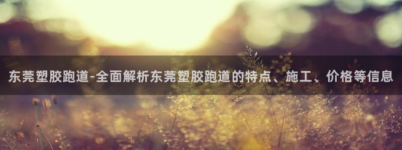 红足网足球直播：东莞塑胶跑道-全面解析东莞塑胶跑道的特点、施工、价格等信息