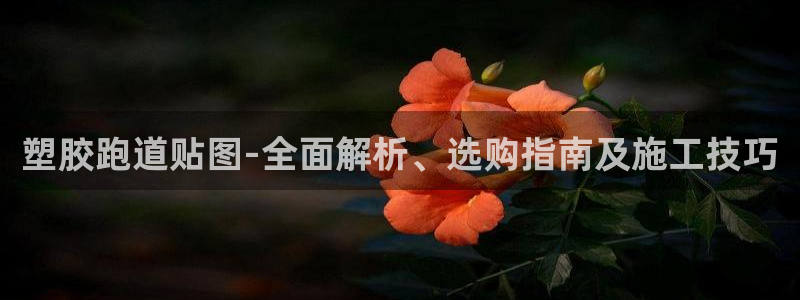 红足一1世皇冠登录：塑胶跑道贴图-全面解析、选购指南及施工技巧