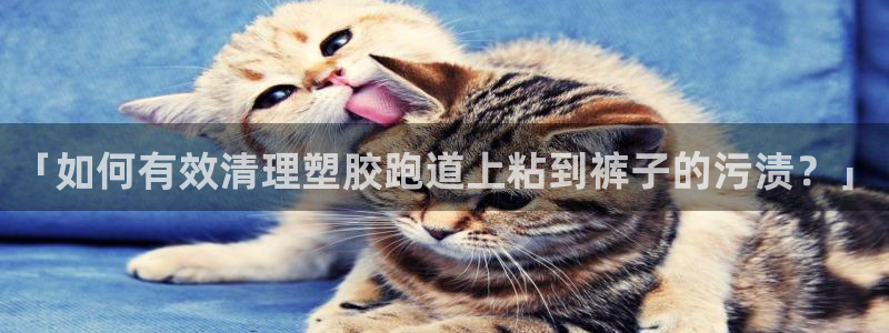 777814红·足一世比分：「如何有效清理塑胶跑道上粘到裤子的污渍？」
