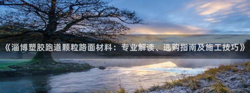 红足一1世：《淄博塑胶跑道颗粒路面材料：专业解读、选购指南及施工技巧》