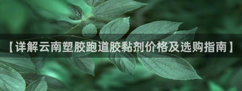 红足1世足球：【详解云南塑胶跑道胶黏剂价格及选购指南】