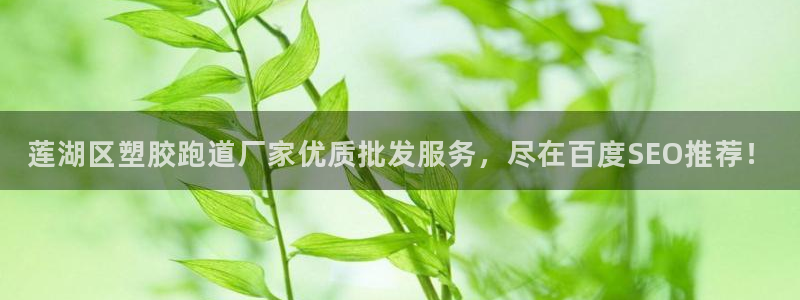 红足一一世：莲湖区塑胶跑道厂家优质批发服务，尽在百度SEO推荐！