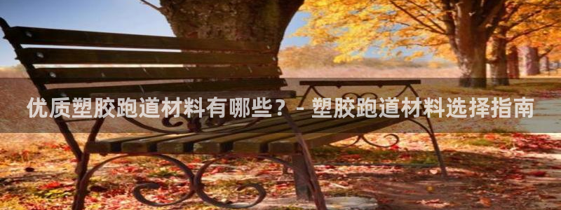 44814红足：优质塑胶跑道材料有哪些？- 塑胶跑道材料选择指南