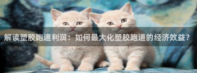 百度红足一1是为什么：解读塑胶跑道利润：如何最大化塑胶跑道的经济效益？
