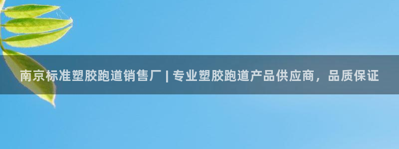 红足 世足球手机网：南京标准塑胶跑道销售厂 | 专业塑胶跑道产品供应商，品质保证