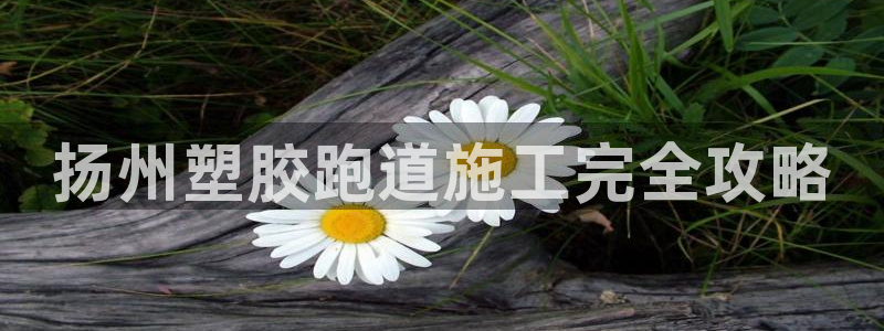 红足1一世开奖版：扬州塑胶跑道施工完全攻略