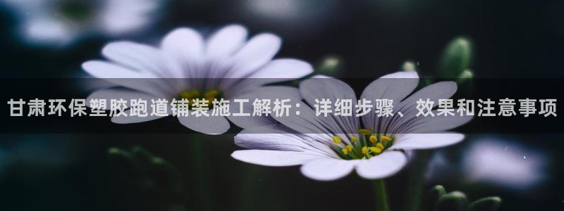 红足网足球直播：甘肃环保塑胶跑道铺装施工解析：详细步骤、效果和注意事项