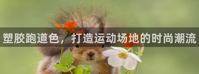 红足体育网：塑胶跑道色，打造运动场地的时尚潮流