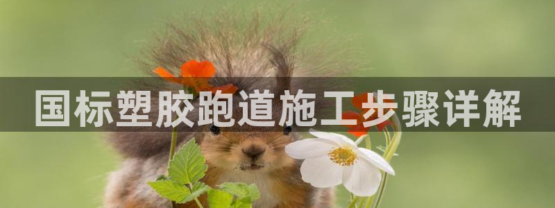 百度红足一1视频在线观看