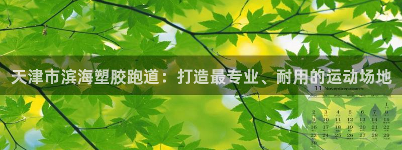 777814红·足一世比分：天津市滨海塑胶跑道：打造最专业、耐用的运动场地