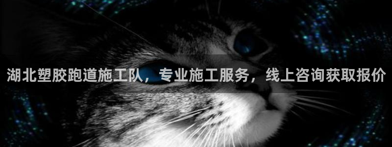红足一一世足球网开奖记录：湖北塑胶跑道施工队，专业施工服务，线上咨询获取报价