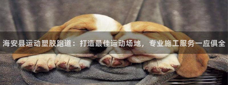 77814红足1世：海安县运动塑胶跑道：打造最佳运动场地，专业施工服务一应俱全