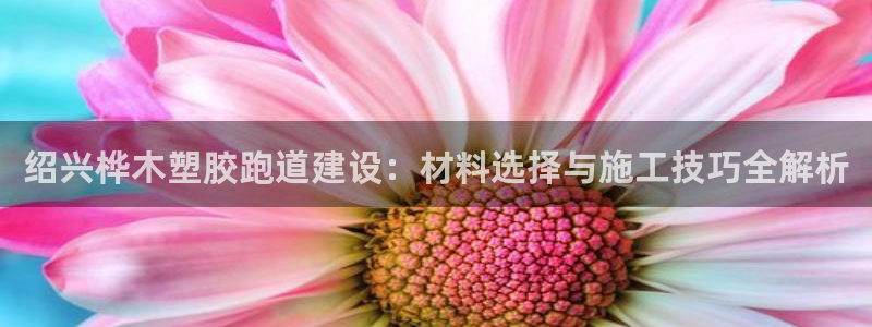 红足一1世比分网：绍兴桦木塑胶跑道建设：材料选择与施工技巧全解析