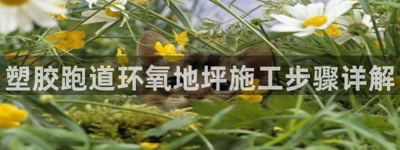红足一1世66814：塑胶跑道环氧地坪施工步骤详解