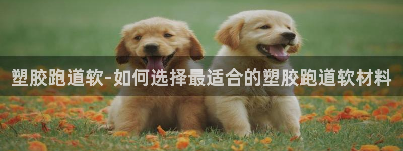 红足一1世比分