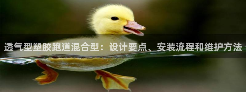 红足l一世开奖现场62ty：透气型塑胶跑道混合型：设计要点、安装流程和维护方法
