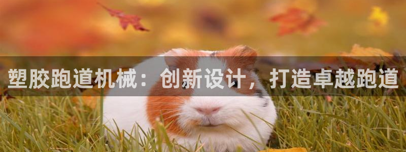 红足1世开奖预测：塑胶跑道机械：创新设计，打造卓越跑道