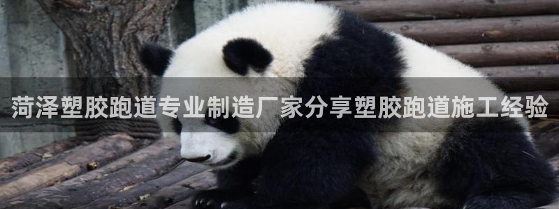 百度红足一1是什么样子的：菏泽塑胶跑道专业制造厂家分享塑胶跑道施工经验