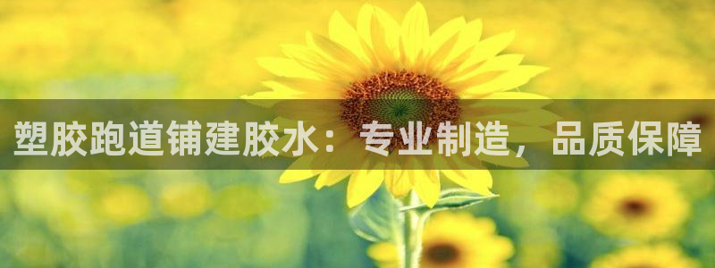 红足1世足球比分预测：塑胶跑道铺建胶水：专业制造，品质保障