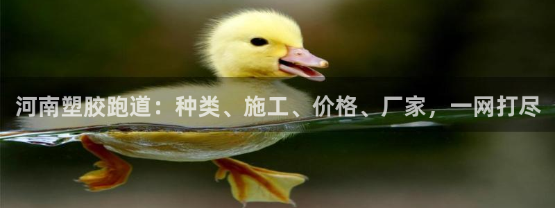 红足一：河南塑胶跑道：种类、施工、价格、厂家，一网打尽