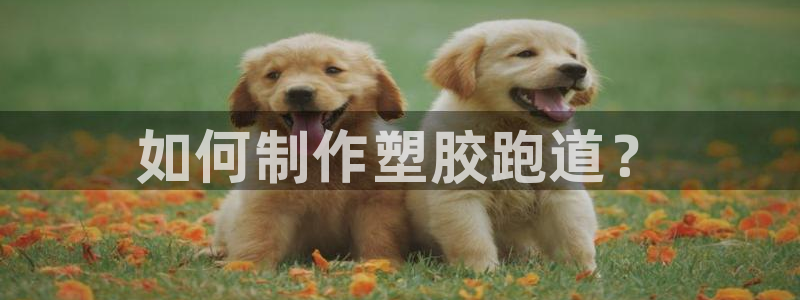 百度红足一1是为什么：如何制作塑胶跑道？