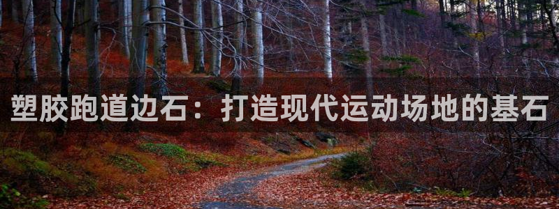 红足一1世比分：塑胶跑道边石：打造现代运动场地的基石