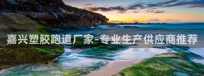 新2足球平台出租网站：嘉兴塑胶跑道厂家-专业生产供应商推荐