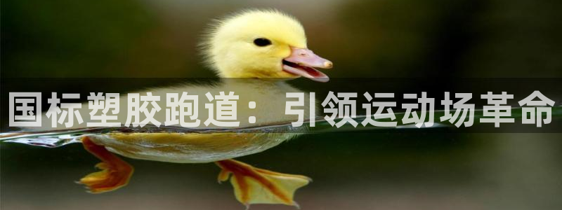 333814红足1世：国标塑胶跑道：引领运动场革命