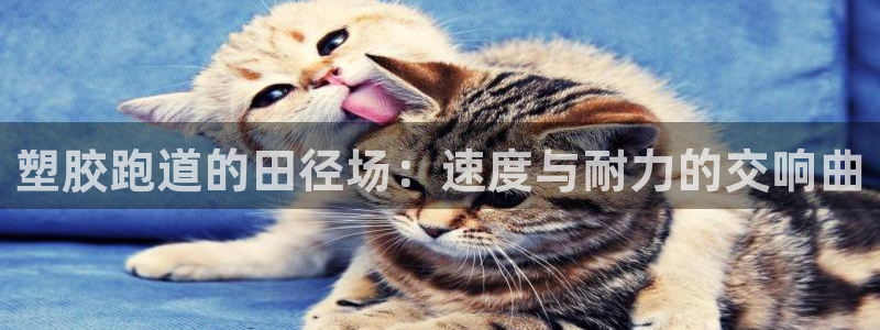 红足1世开奖预测：塑胶跑道的田径场：速度与耐力的交响曲