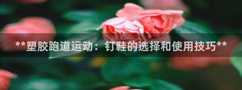 百度红足一1是为什么：**塑胶跑道运动：钉鞋的选择和使用技巧**