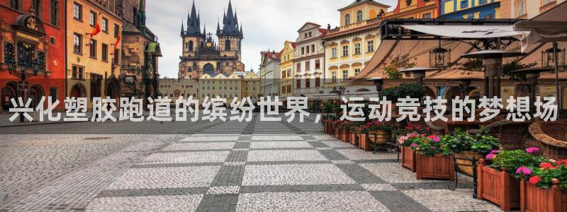 666814红·足一世比分：兴化塑胶跑道的缤纷世界，运动竞技的梦想场