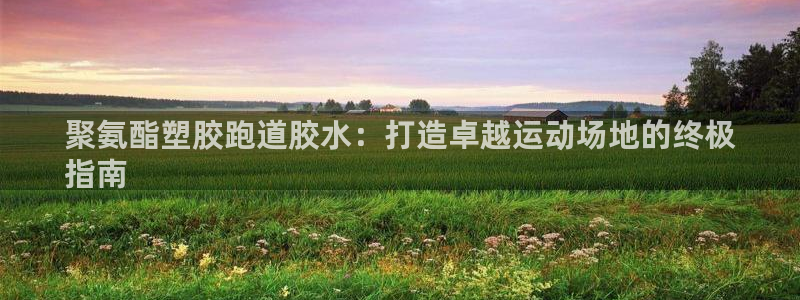 红足一1世皇冠登录：聚氨酯塑胶跑道胶水：打造卓越运动场地的终极
指南