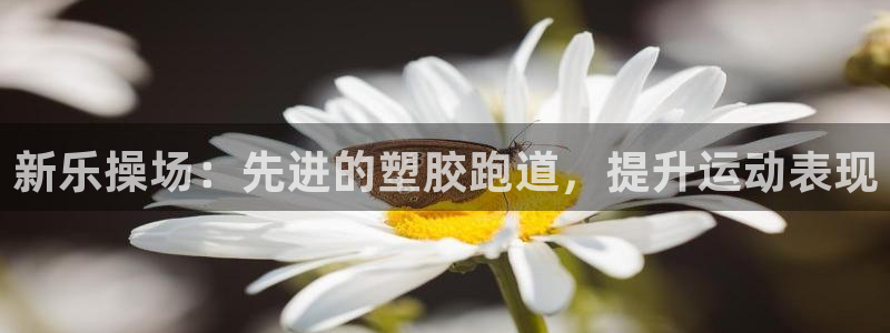 红足一1世比分球探：新乐操场：先进的塑胶跑道，提升运动表现