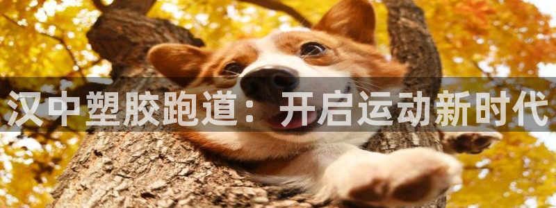 红足1一世红：汉中塑胶跑道：开启运动新时代