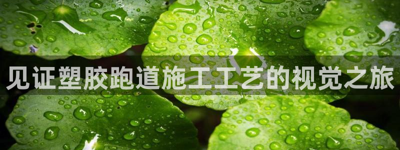 新2足球平台出租网站：见证塑胶跑道施工工艺的视觉之旅