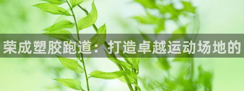 红足1世1站2站管理网：荣成塑胶跑道：打造卓越运动场地的