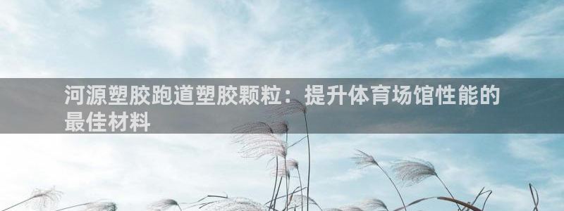 红足1世手机版下载：河源塑胶跑道塑胶颗粒：提升体育场馆性能的
最佳材料