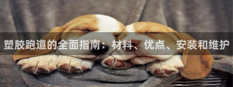 百度红足一1世：塑胶跑道的全面指南：材料、优点、安装和维护