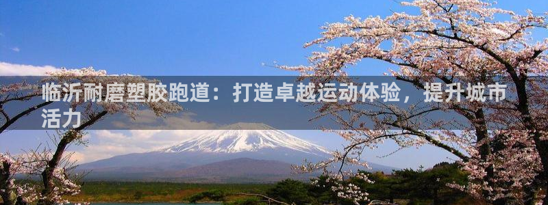 红足1世足球网址大全：临沂耐磨塑胶跑道：打造卓越运动体验，提升城市
活力