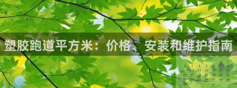 红足一1世比分：塑胶跑道平方米：价格、安装和维护指南