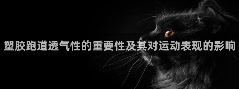红足体育网：塑胶跑道透气性的重要性及其对运动表现的影响