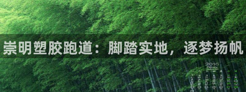 红足一1世官网比分：崇明塑胶跑道：脚踏实地，逐梦扬帆