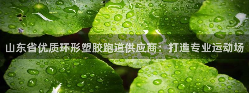 红足i世足球手机网