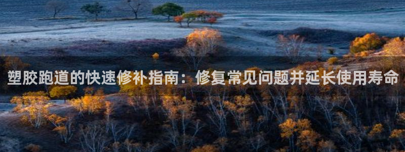 红足1世开奖预测
