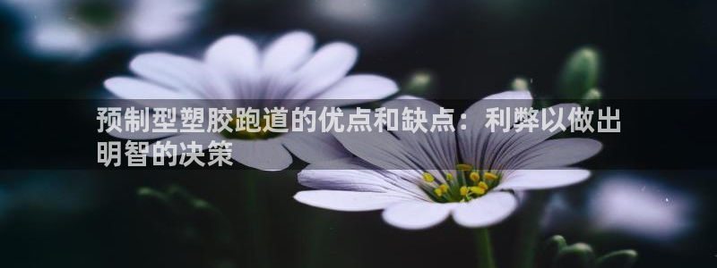 红足1世手机下载：预制型塑胶跑道的优点和缺点：利弊以做出
明智的决策